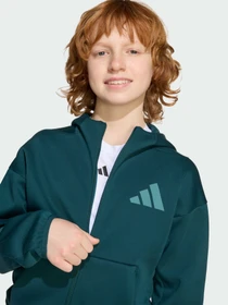 Худи и свитшоты Adidas ZNE модель JW2425 Фото