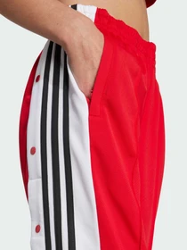 Брюки Adidas Adicolor модель JY1354 Фото
