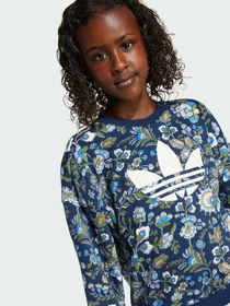 Костюмы Adidas Graphics модель JV7804 Фото