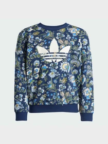 Костюмы Adidas Graphics модель JV7804 Фото