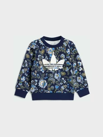 Костюмы Adidas Graphics модель JY3019 Фото