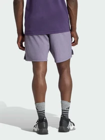 Шорты Adidas модель JX5693 Фото