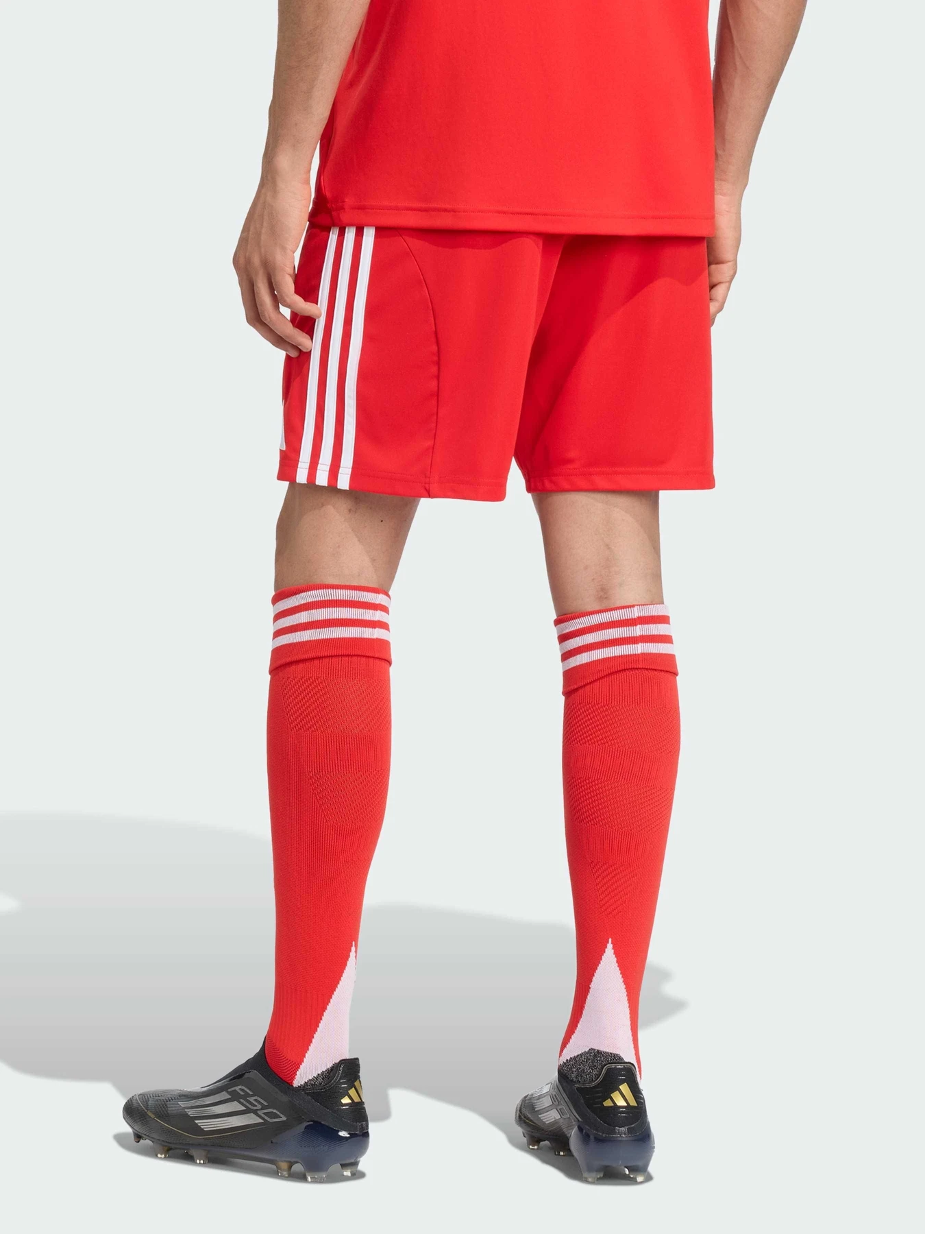 Шорты Adidas модель JJ2133 Фото