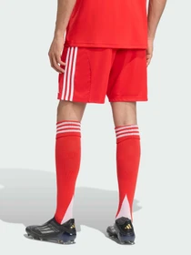 Шорты Adidas модель JJ2133 Фото