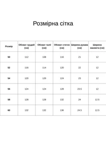 Рубашки All Posa модель ap102120p-kltina Фото