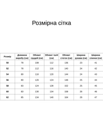 Рубашки All Posa модель ap102442p-blakitnij Фото