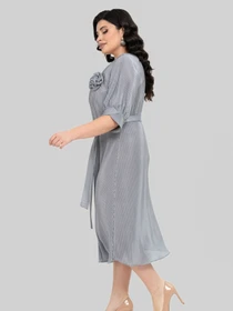 Сукні All Posa модель ap102433p-srij Фото