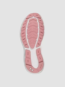 Кроссовки Under Armour Charged Rogue 5 модель 3028262-647 Фото