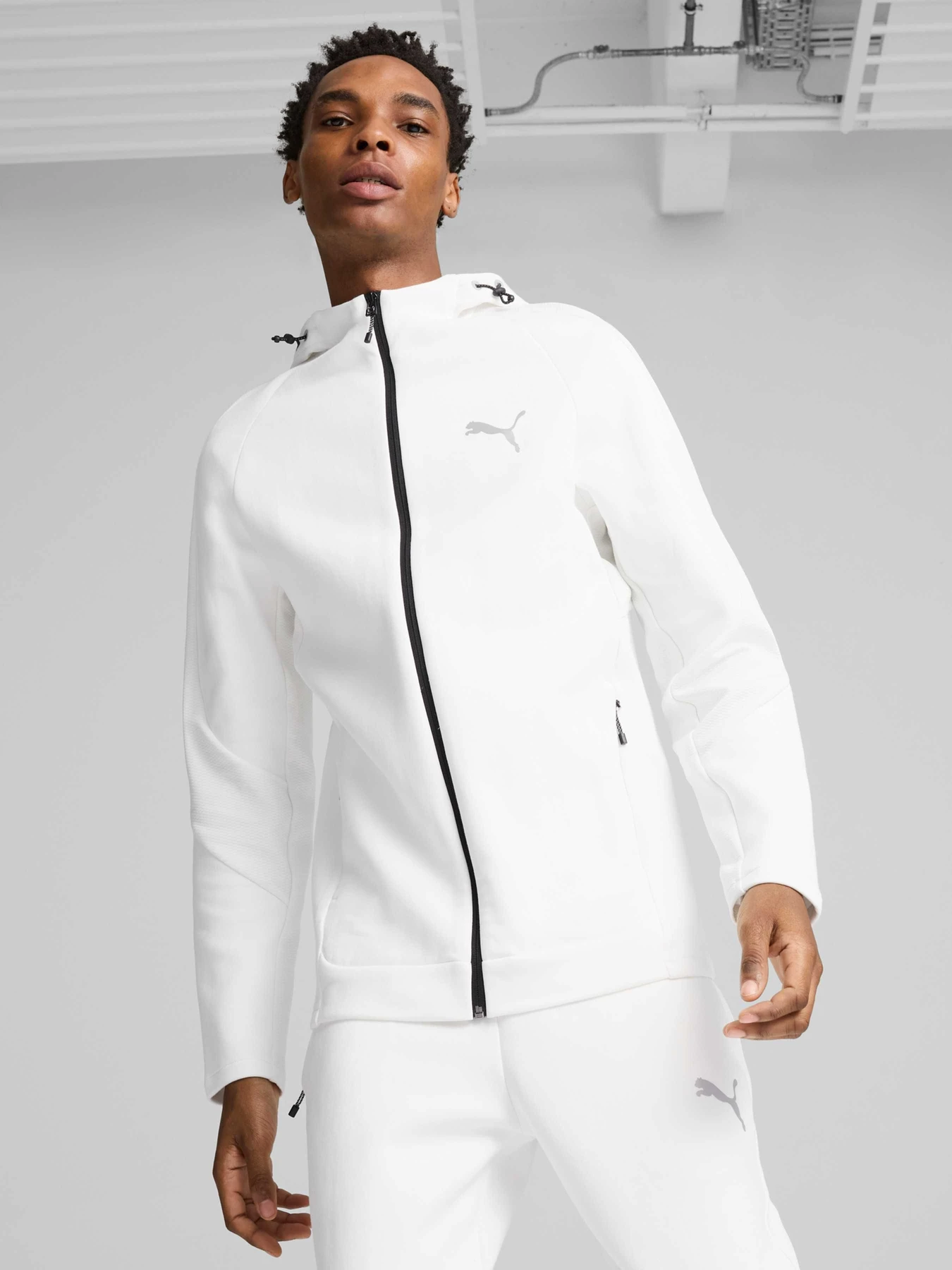 Худі та світшоти PUMA Evostripe Full-zip Hoodie модель 681700 Худі та світшоти PUMA Evostripe Full-zip Hoodie модель 681700 Фото
