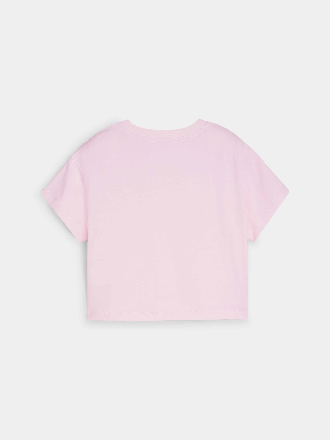 Футболки и поло PUMA Better Classics Tee модель 625067 Футболки и поло PUMA Better Classics Tee модель 625067 Фото