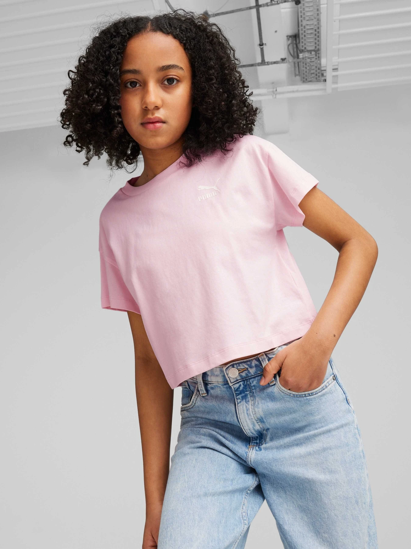 Футболки и поло PUMA Better Classics Tee модель 625067 Футболки и поло PUMA Better Classics Tee модель 625067 Фото