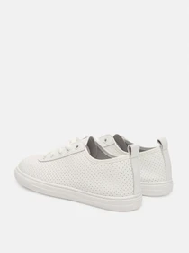 Кеди Stilli модель ЦБ-00280683 Фото