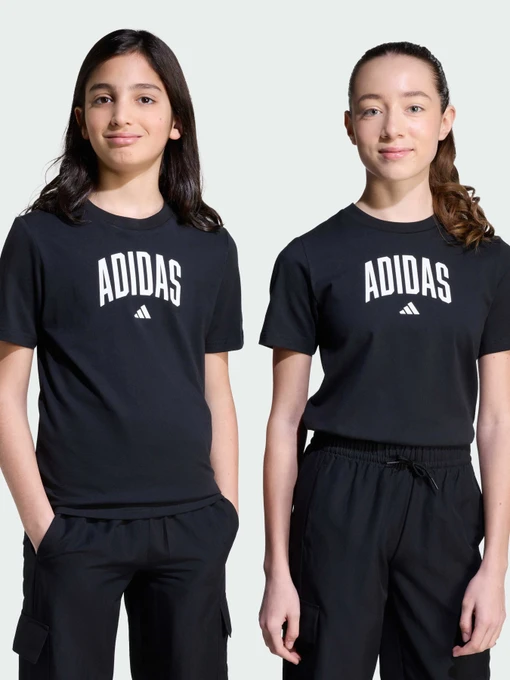 Футболки и поло Adidas модель JV5192 Фото