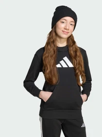 Худи и свитшоты Adidas модель JV5267 Фото