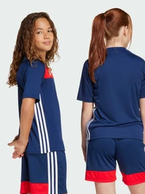 Футболки и поло Adidas Tiro модель JD0586 Фото