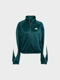 Худі та світшоти Adidas модель JW0528 Фото