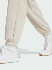 Штани Adidas Clima модель JW3398 Фото