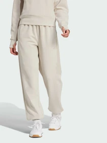 Штани Adidas Clima модель JW3398 Фото