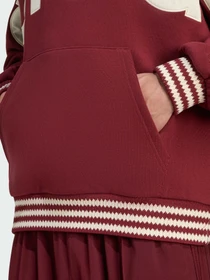 Худі та світшоти Adidas модель JV7618 Фото