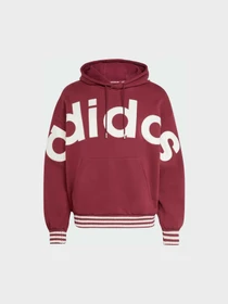 Худі та світшоти Adidas модель JV7618 Фото