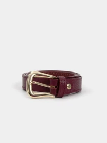 Ремни URBAN TRACE модель UT-W-64-2.5_burgundy_gold Фото