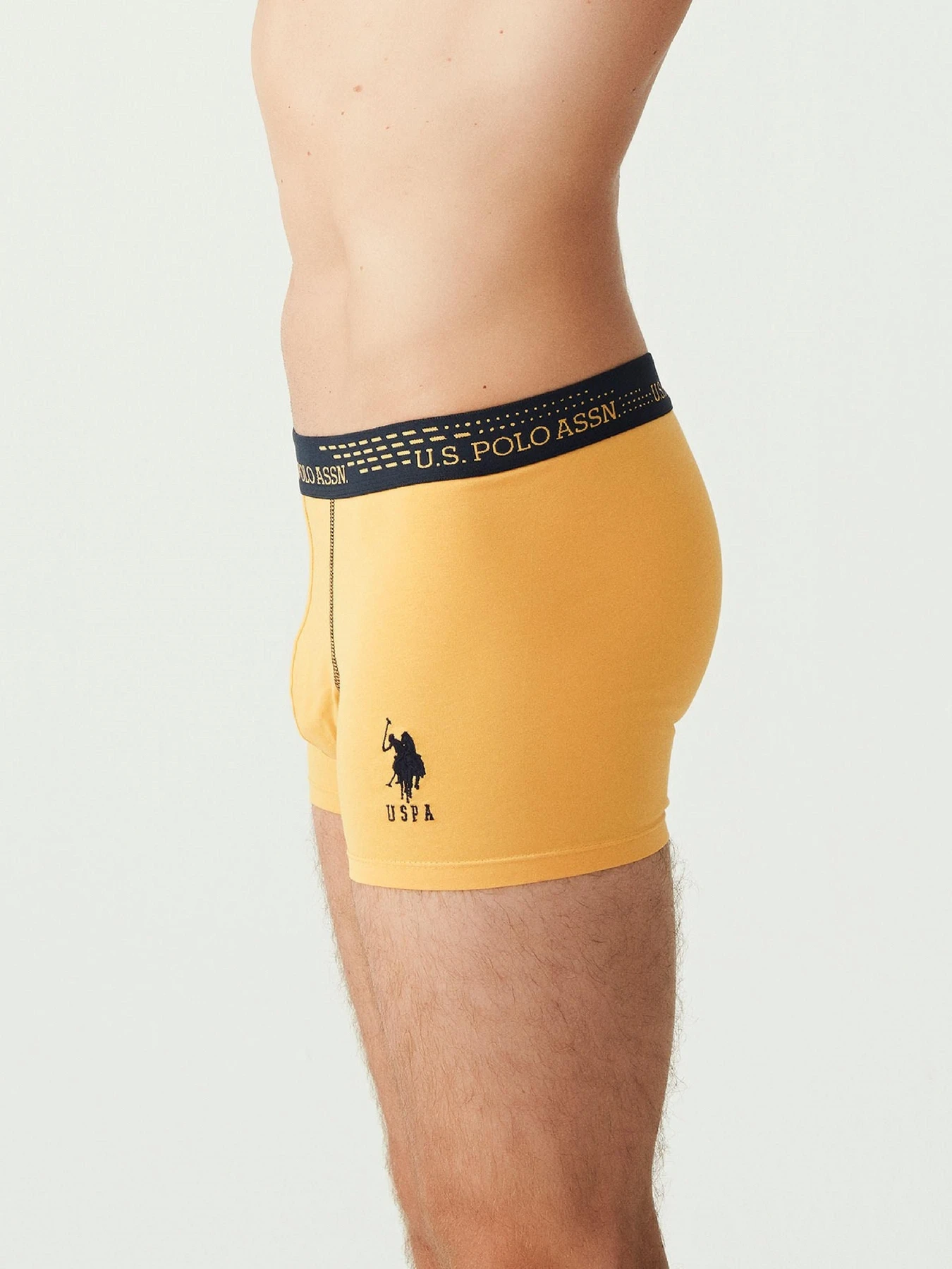 Нижнее белье US Polo модель USPA.80178.VR024 Фото