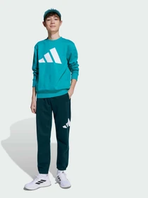 Костюмы Adidas модель JV9938 Фото