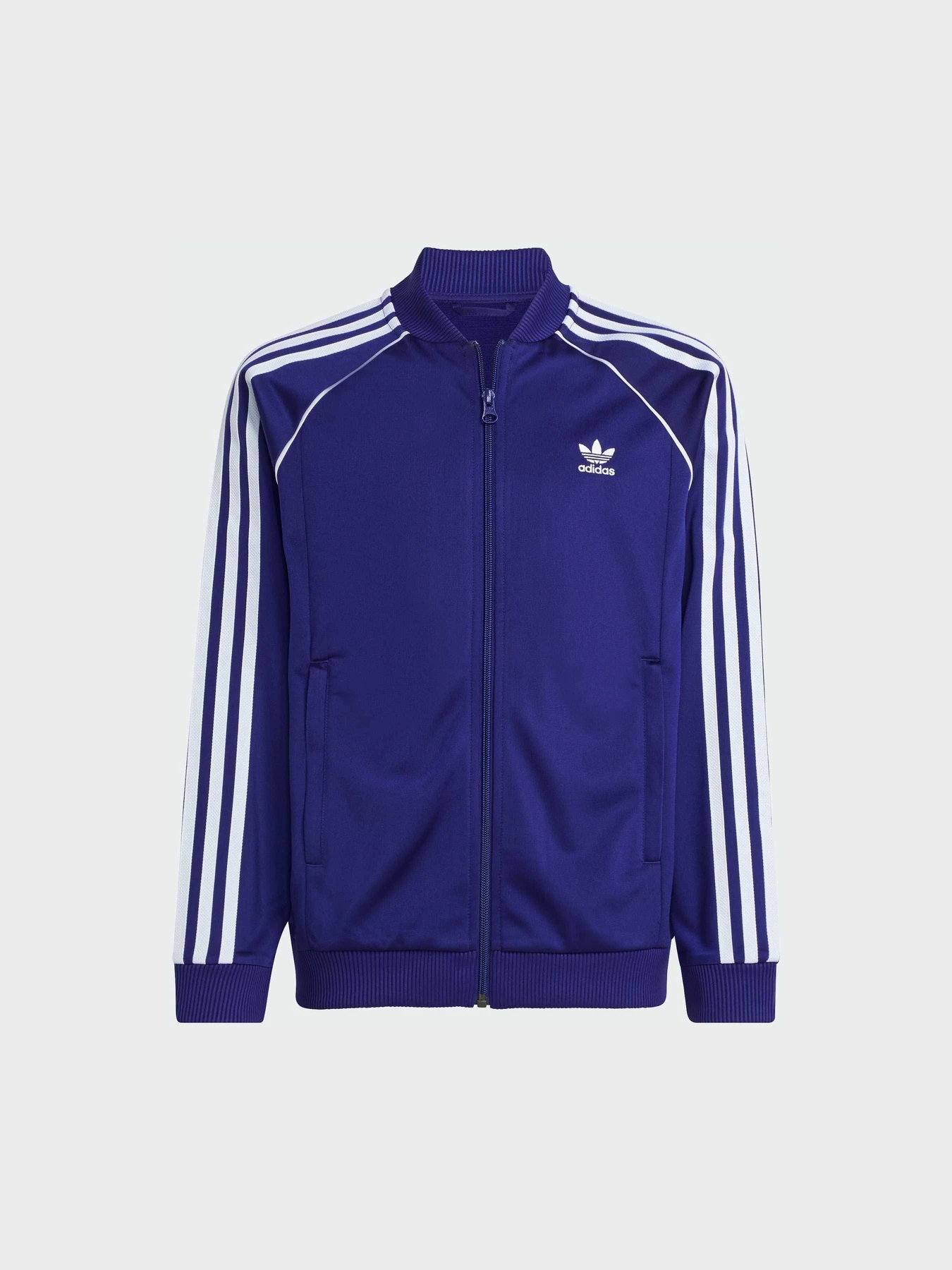 Худі та світшоти Adidas Adicolor модель IY7453 Худі та світшоти Adidas Adicolor модель IY7453 Фото