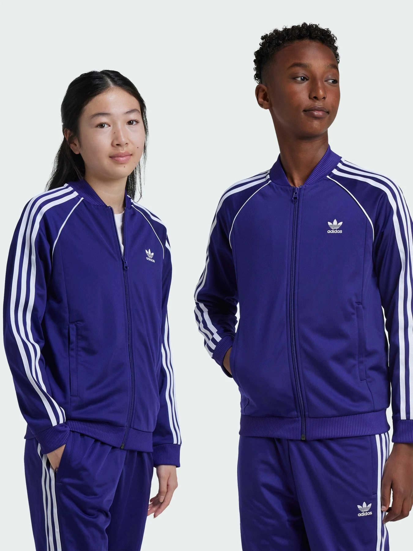 Худі та світшоти Adidas Adicolor модель IY7453 Худі та світшоти Adidas Adicolor модель IY7453 Фото