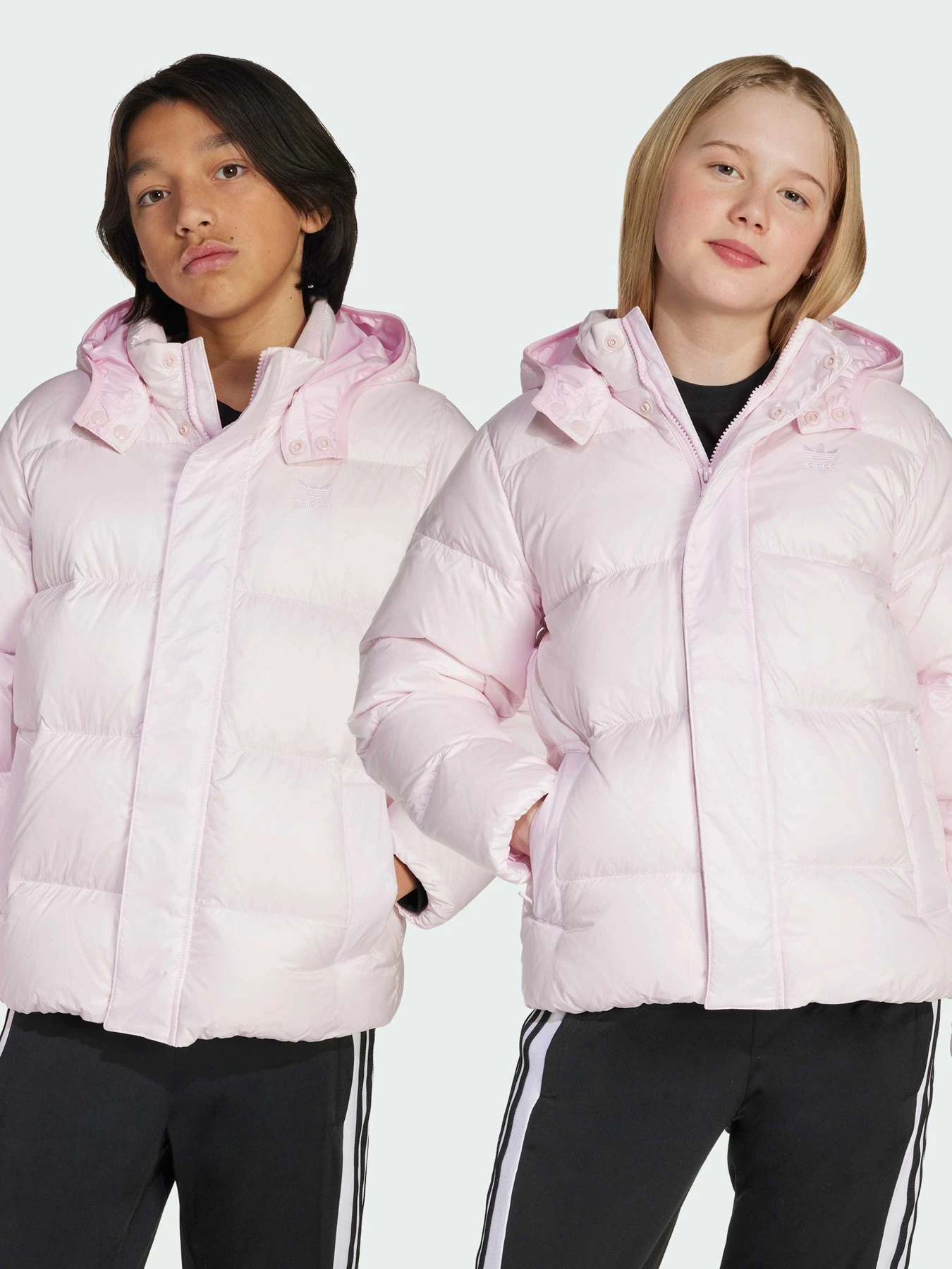 Куртки и дубленки Adidas Adicolor модель JW1104 Куртки и дубленки Adidas Adicolor модель JW1104 Фото