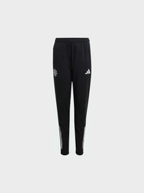 Брюки Adidas модель JP3120 Фото