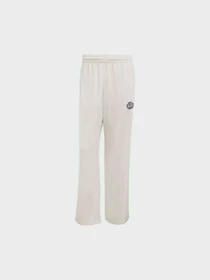 Брюки Adidas Graphics модель JX8163 Фото