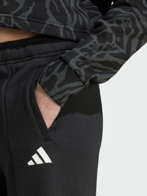 Брюки Adidas модель JW7544 Фото