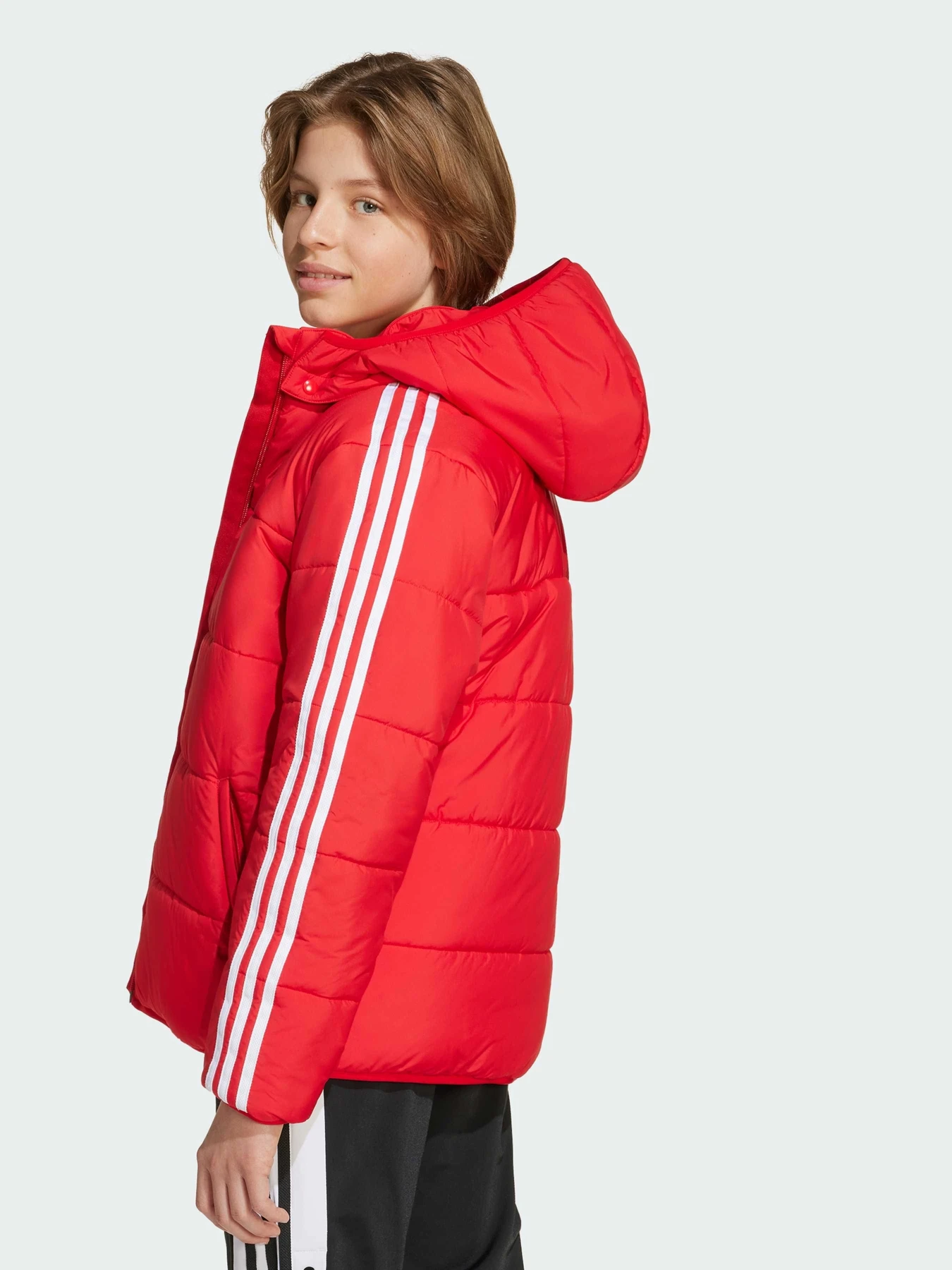 Куртки и дубленки Adidas Adicolor модель JW1108 Куртки и дубленки Adidas Adicolor модель JW1108 Фото