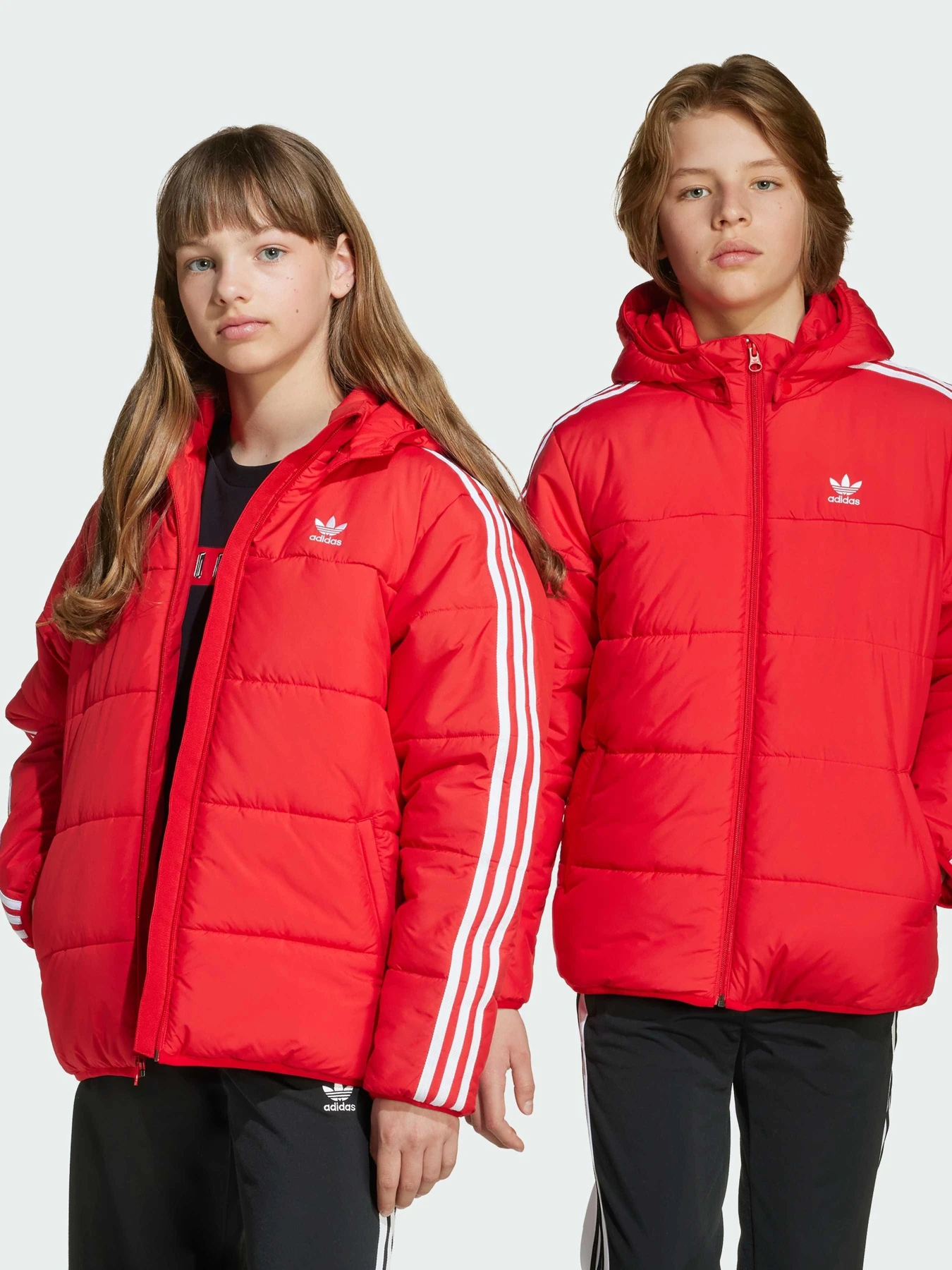 Куртки и дубленки Adidas Adicolor модель JW1108 Куртки и дубленки Adidas Adicolor модель JW1108 Фото