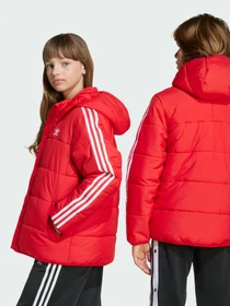 Куртки и дубленки Adidas Adicolor модель JW1108 Фото