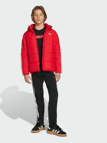 Куртки и дубленки Adidas Adicolor модель JW1108 Фото