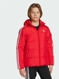 Куртки и дубленки Adidas Adicolor модель JW1108 Фото