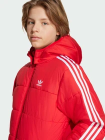 Куртки и дубленки Adidas Adicolor модель JW1108 Фото