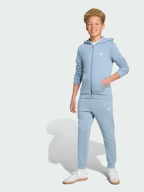 Худі та світшоти Adidas модель JX2791 Фото