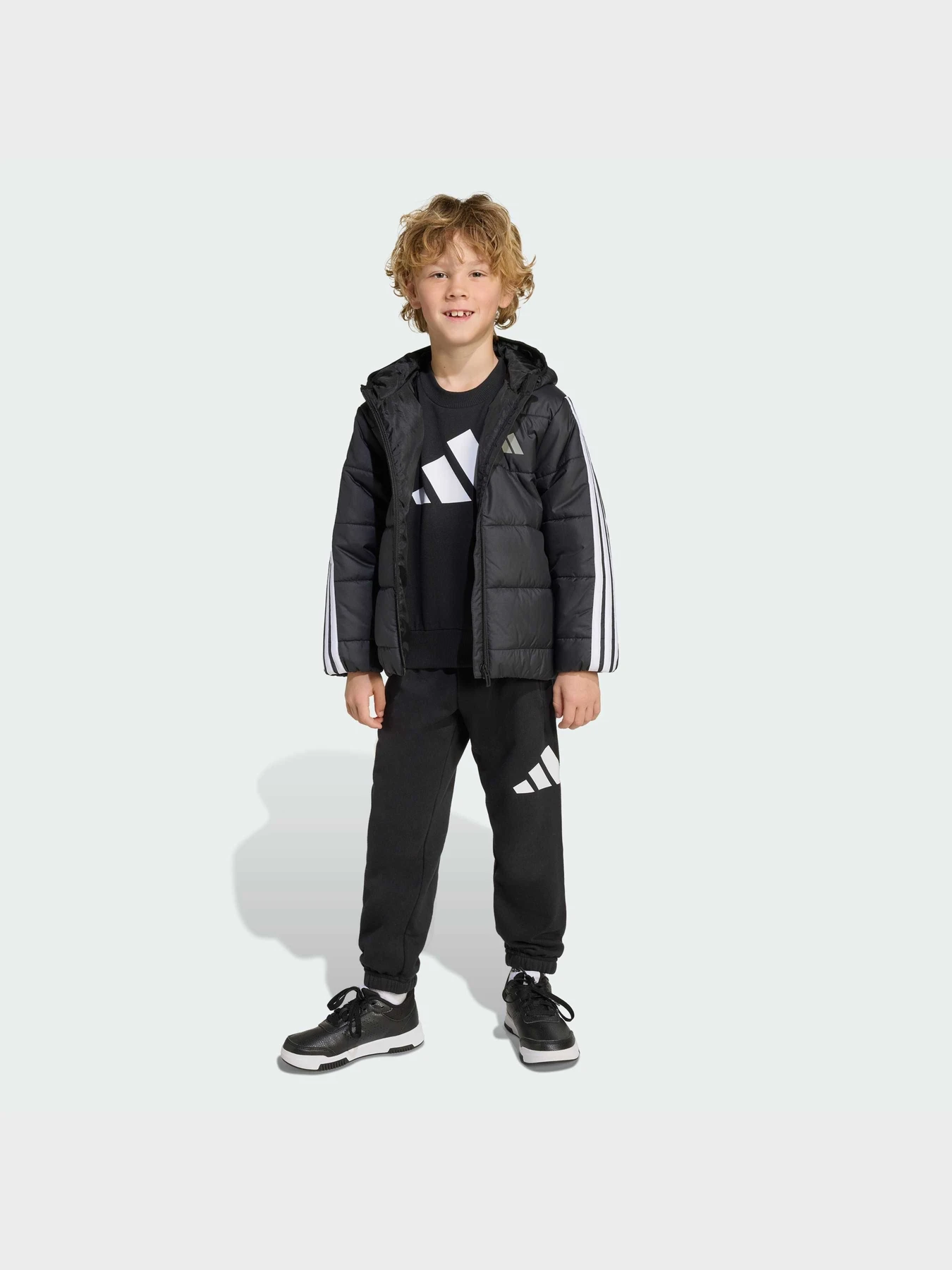 Куртки та дублянки Adidas 3 Stripes модель JW2443 Фото
