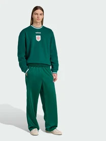 Штани Adidas Graphics модель JX8162 Фото