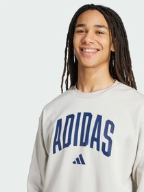 Худи и свитшоты Adidas модель JM1732 Фото