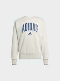 Худи и свитшоты Adidas модель JM1732 Фото