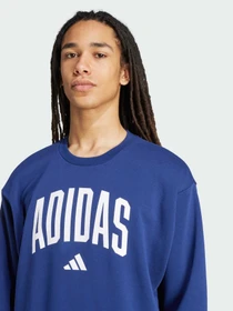 Худи и свитшоты Adidas модель JM1734 Фото