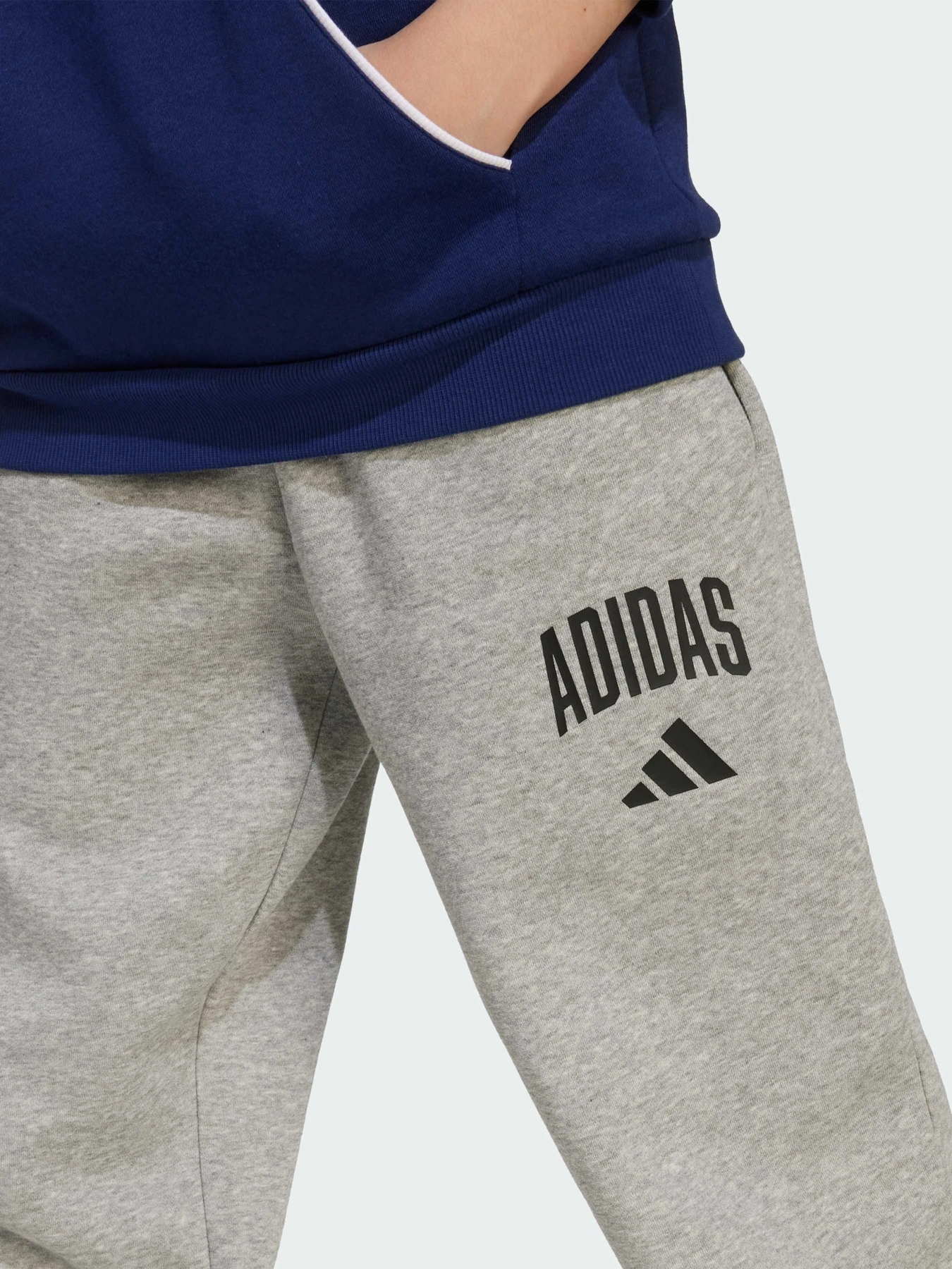 Штани Adidas модель JW2386 Фото