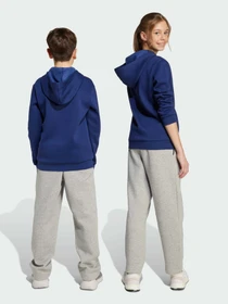 Штани Adidas модель JW2386 Фото