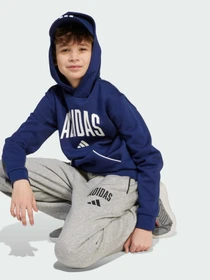 Штани Adidas модель JW2386 Фото