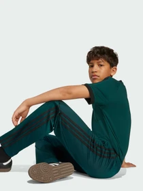 Брюки Adidas Adicolor модель JV8593 Фото