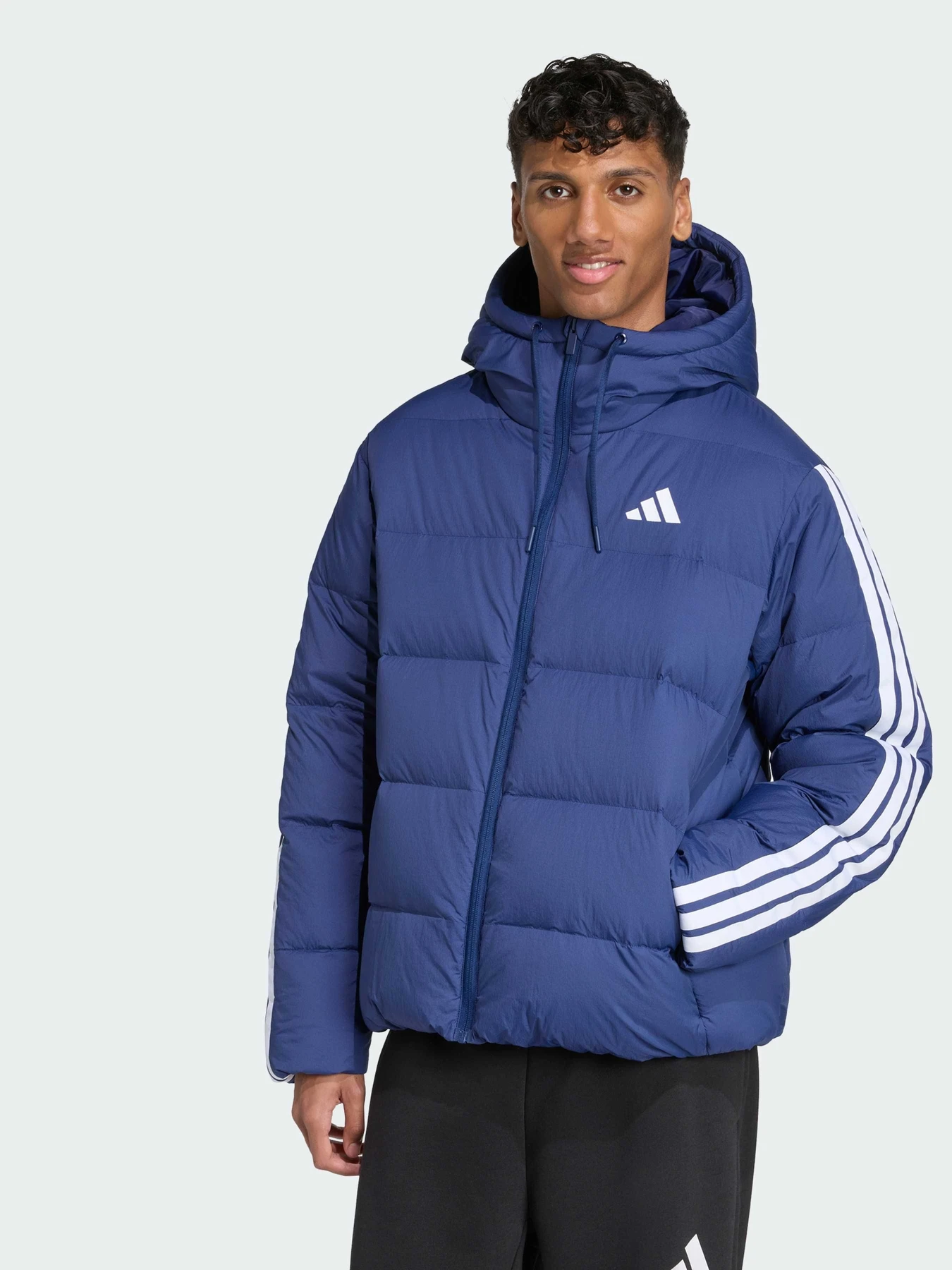 Куртки и дубленки Adidas модель JX7799 Куртки и дубленки Adidas модель JX7799 Фото